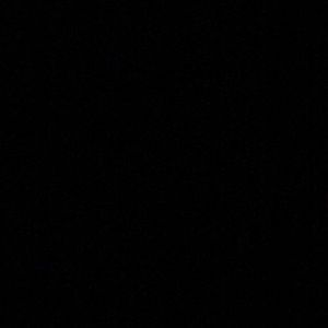 Meet your Posher, Ariel